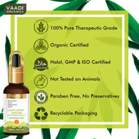 https://cdn.shopify.com/s/files/1/1857/6931/products/5XWbPxOJHj.jpg?v=1699511474