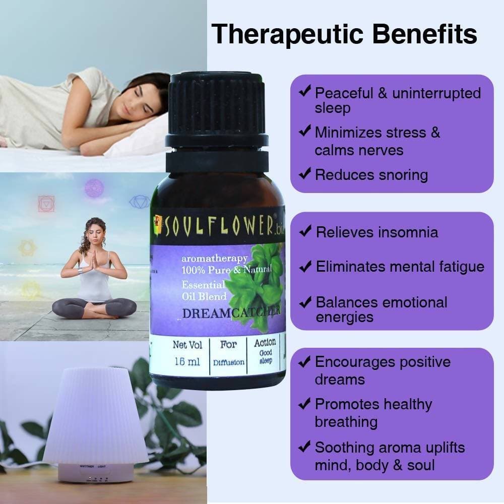 https://cdn.shopify.com/s/files/1/1857/6931/products/5XZzzwUIkF.jpg?v=1614911250