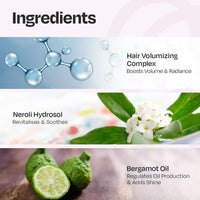 https://cdn.shopify.com/s/files/1/1857/6931/files/5YjlzVW6Aa.jpg?v=1743167140