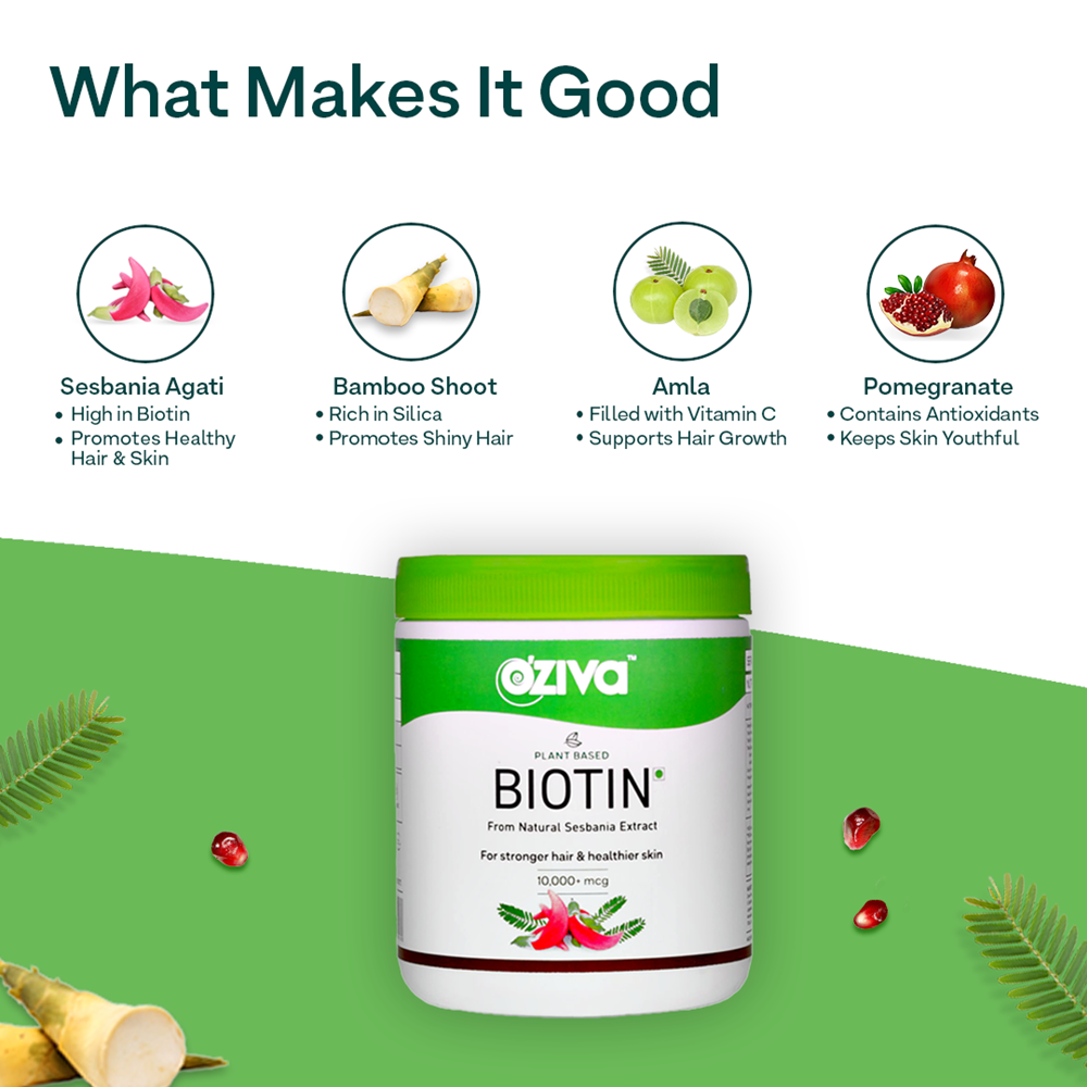 https://cdn.shopify.com/s/files/1/1857/6931/products/5_4_4000x.progressive_2b2c4c3d-7b48-4e23-a9a5-43890448e815.png?v=1622544357