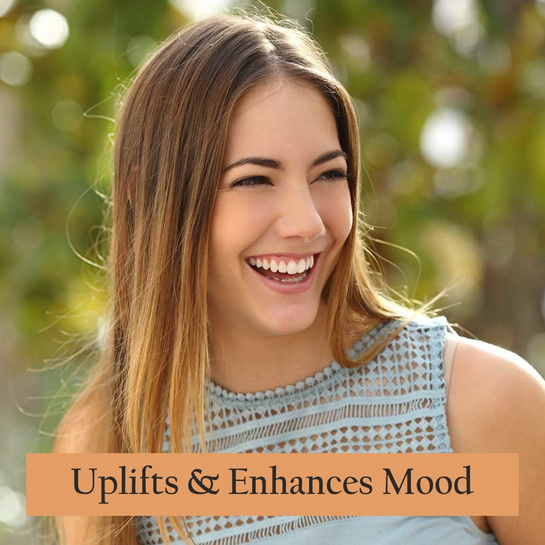 https://cdn.shopify.com/s/files/1/1857/6931/files/5_5df0e371-0ef0-4861-9563-a8749cef1c13.png?v=1765546915