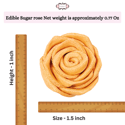 https://cdn.shopify.com/s/files/1/1857/6931/files/5_7b4139a7-d21e-481d-8d9f-bd1dc3325049.png?v=1769694320