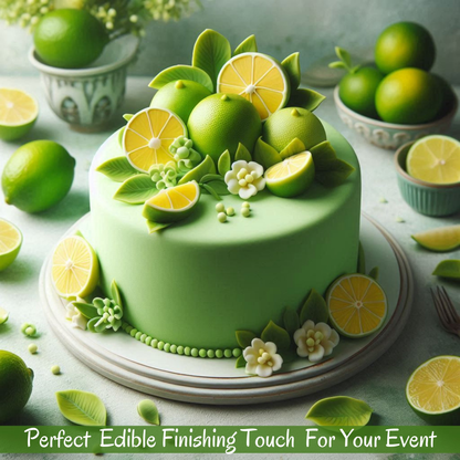 https://cdn.shopify.com/s/files/1/1857/6931/files/5_b4db7143-db03-4f0d-b3b8-8cffe03229a8.png?v=1769705130