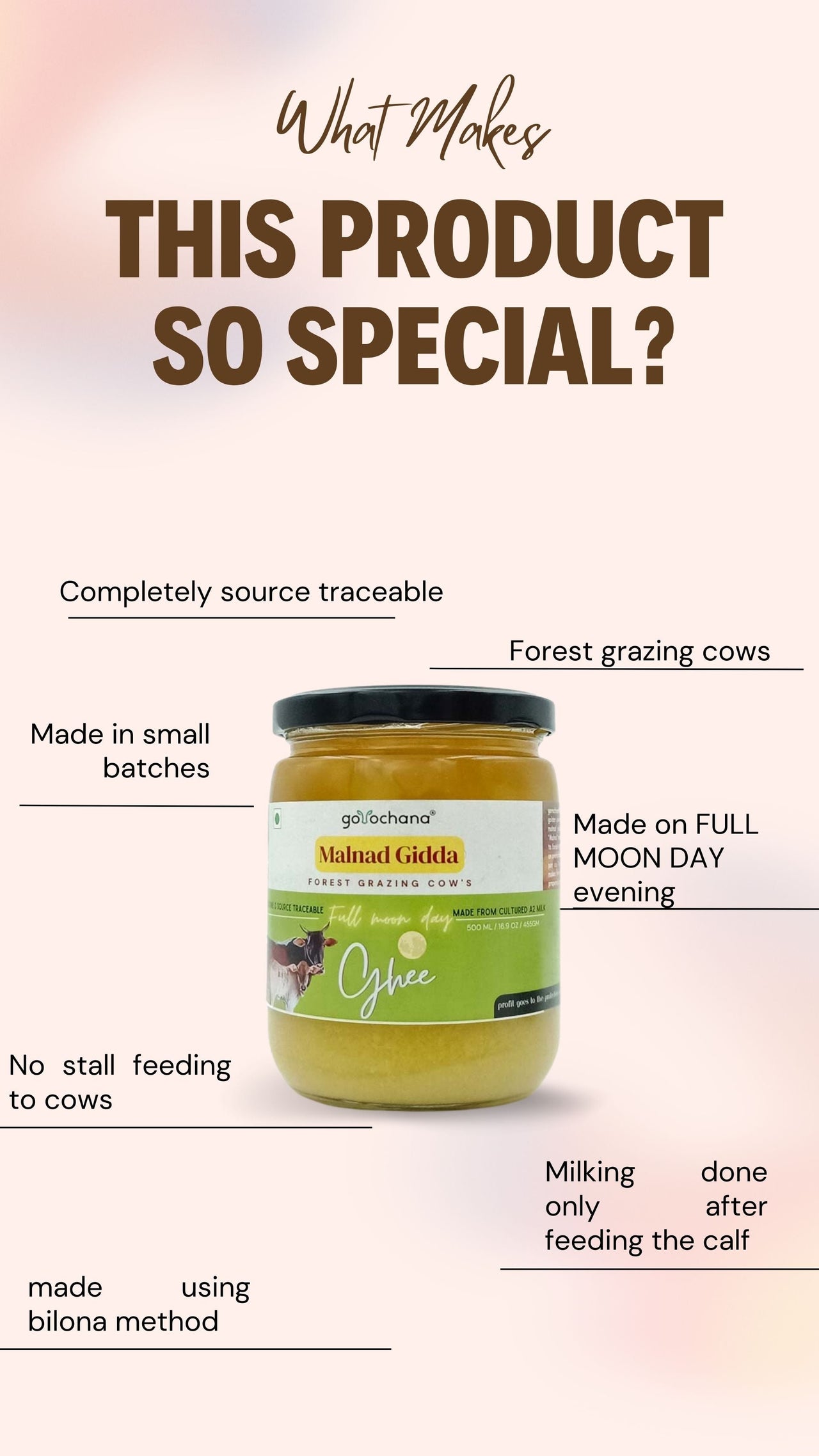 https://cdn.shopify.com/s/files/1/1857/6931/files/5_b8a6fa74-ef23-49ec-8011-837eb0114cea.jpg?v=1682408066