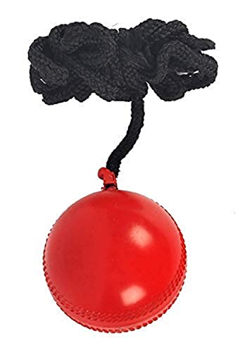 Image 1 of Default Title for the product SG Synthetic I Ball with Cord Cricket Hanging Ball 159g