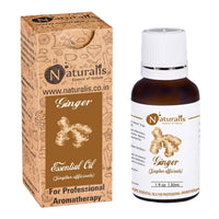https://cdn.shopify.com/s/files/1/1857/6931/products/5aU5yOVCp9.jpg?v=1623410925