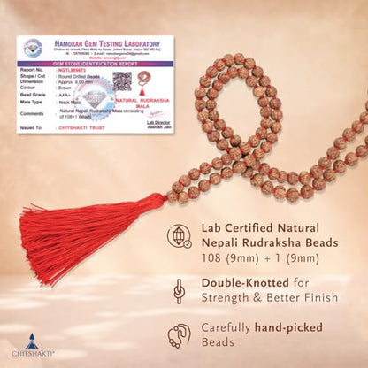 Image 2 of Chitshakti Rudraksha mala 108 +1 Beads Original | Sacred 108 + 1 Rudraksha Meditation Mala | Natural 9 mm Beads with 9 mm Guru Bead | Traditional Hand-Knotted Japa Mala with Red Tassel | Red