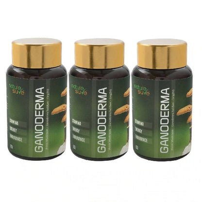 https://cdn.shopify.com/s/files/1/1857/6931/products/5aonedwYzK.jpg?v=1642579426