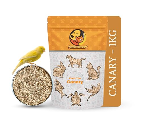 Image 2 of Pouch - Canary Seed, 1Kg for the product Foodie Puppies Bird Food for Canary