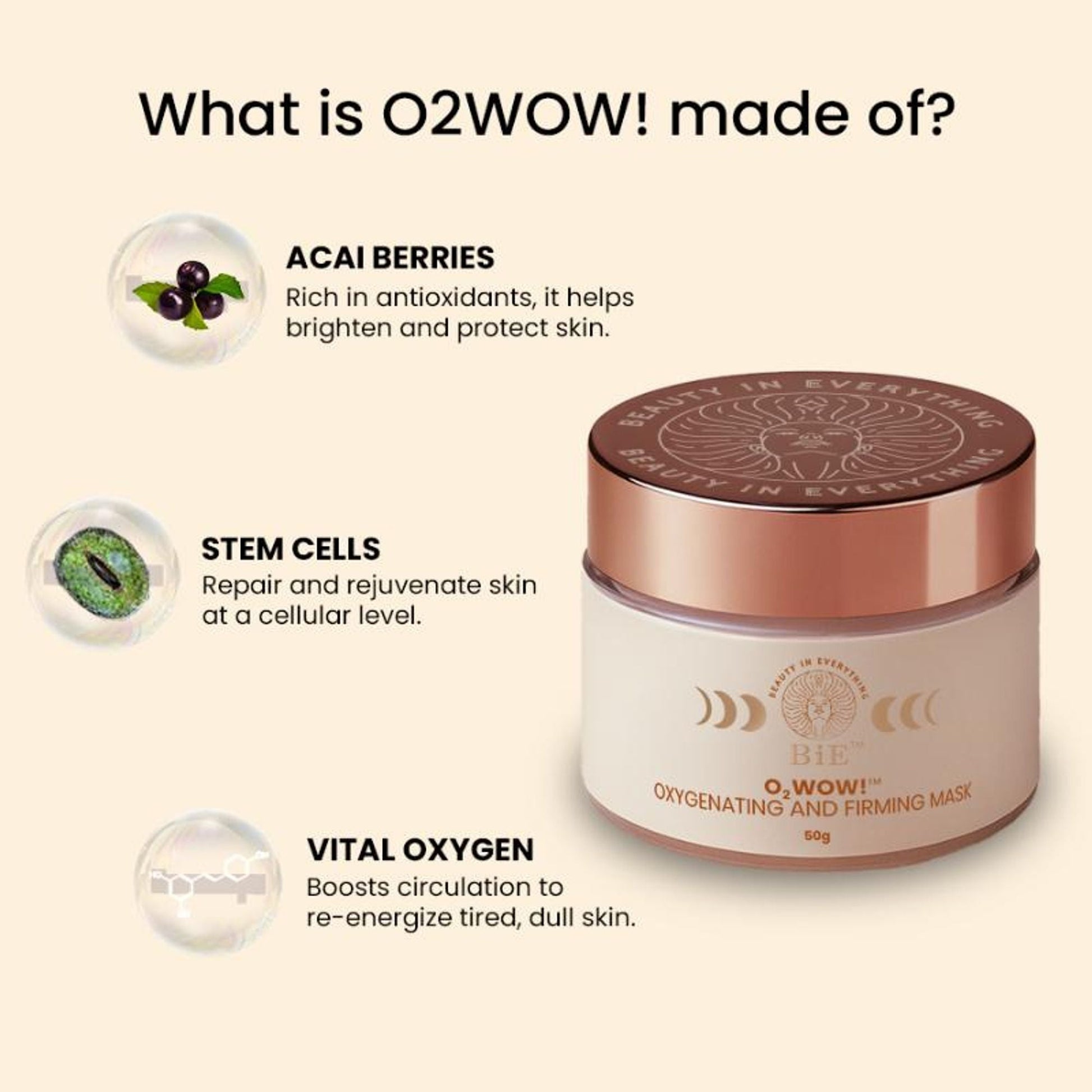 https://cdn.shopify.com/s/files/1/1857/6931/files/5d7eb15BIEXX00000005s_4.jpg?v=1773826378