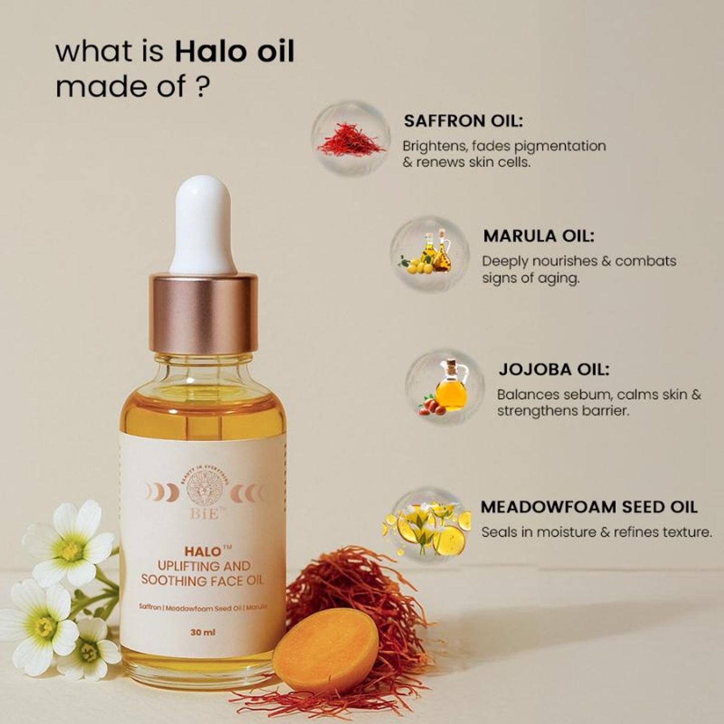https://cdn.shopify.com/s/files/1/1857/6931/files/5d7eb15BIEXX00000016s_3.jpg?v=1773826391