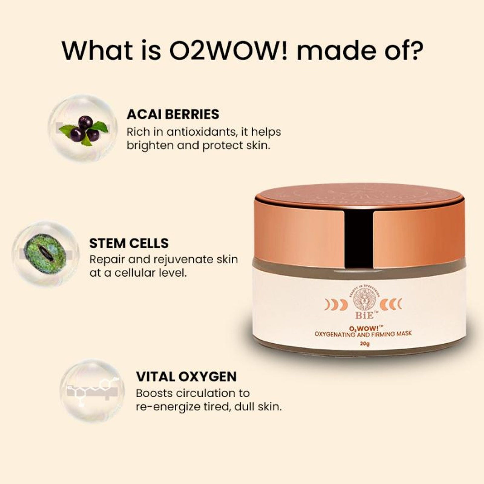 https://cdn.shopify.com/s/files/1/1857/6931/files/5d7eb15BIEXX00000022s_4.jpg?v=1773826378