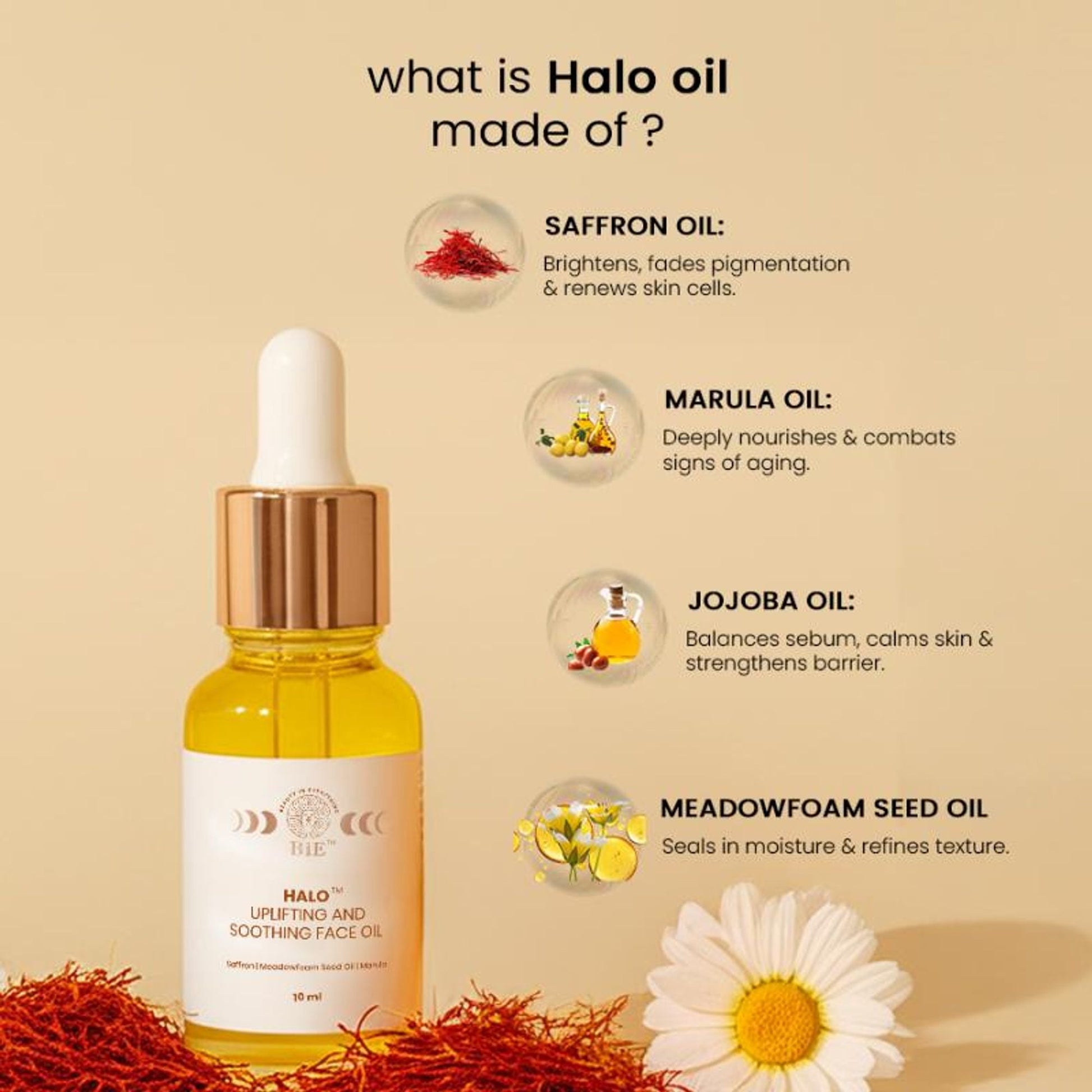 https://cdn.shopify.com/s/files/1/1857/6931/files/5d7eb15BIEXX00000033s_3.jpg?v=1773826391