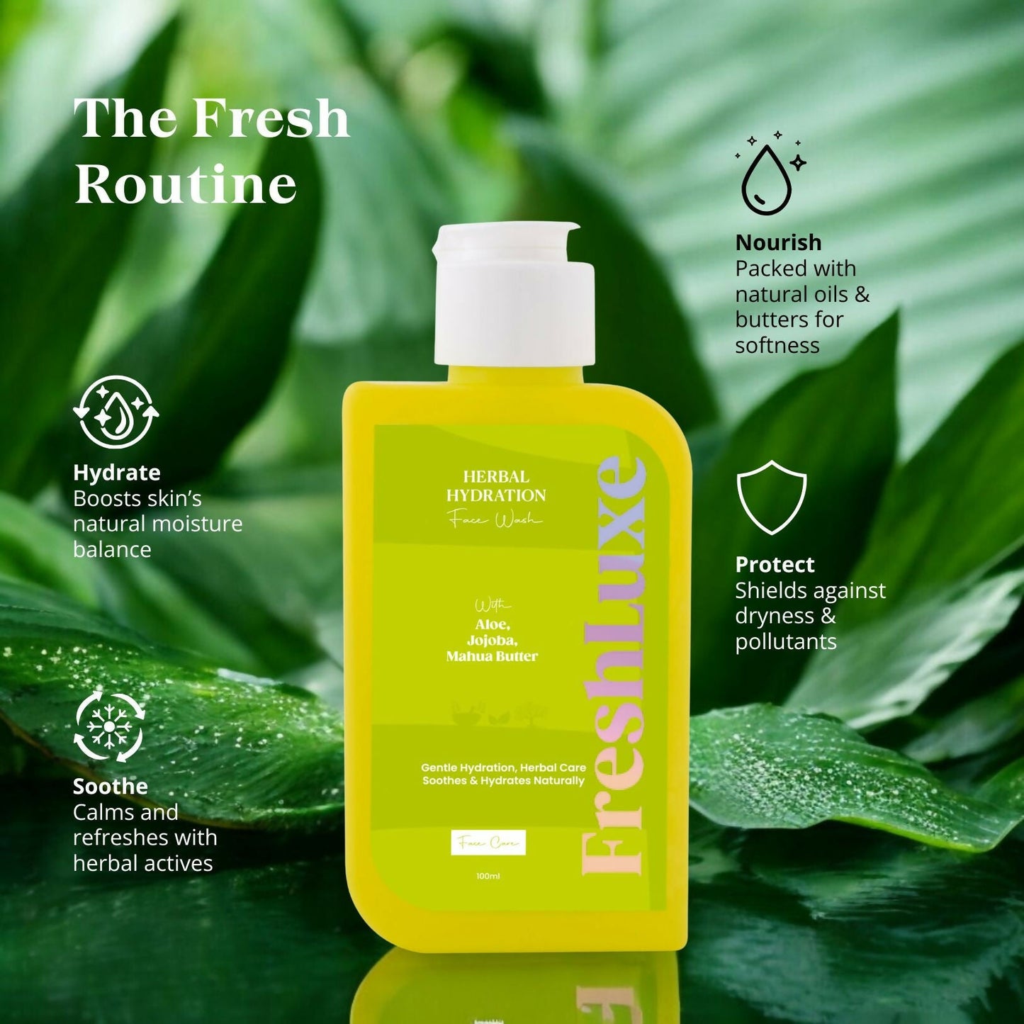 https://cdn.shopify.com/s/files/1/1857/6931/files/5fy3DV5CU7.jpg?v=1759316239