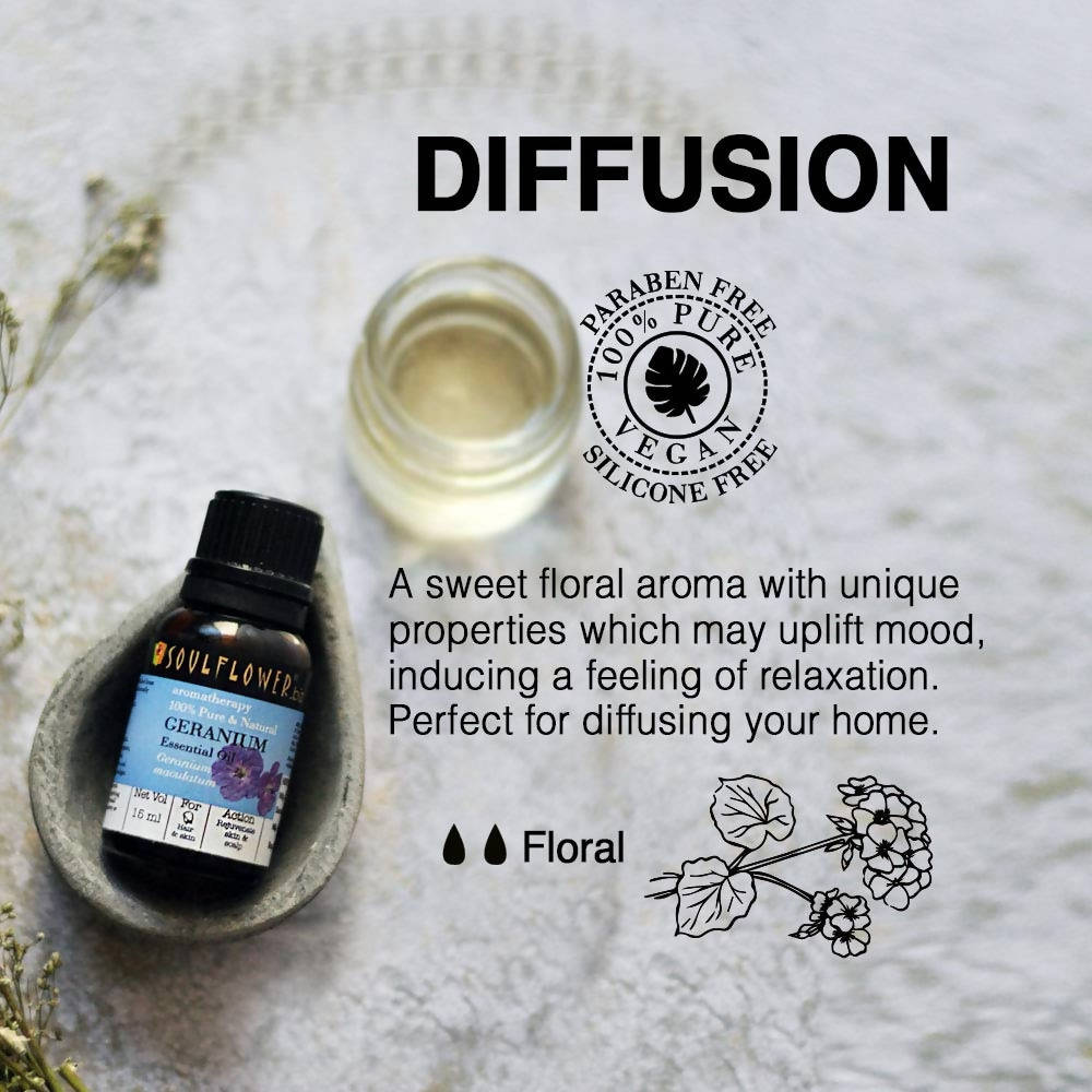https://cdn.shopify.com/s/files/1/1857/6931/products/5gMaLP76Cp.jpg?v=1624116393