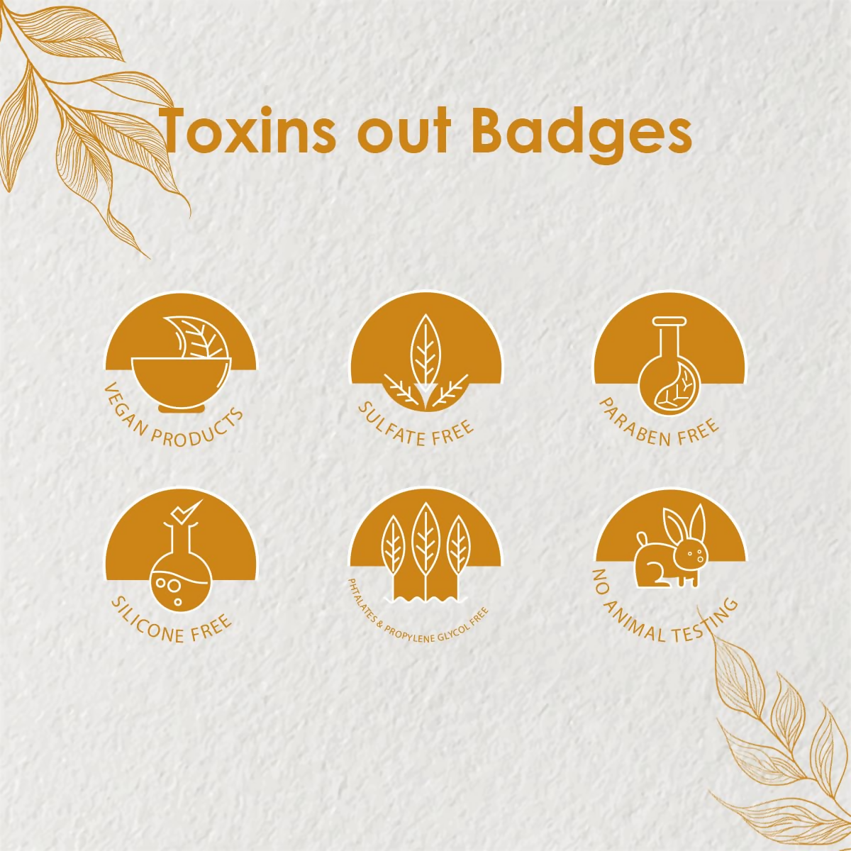 https://cdn.shopify.com/s/files/1/1857/6931/files/5h5wK00obe.png?v=1730714521