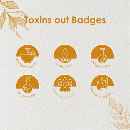 https://cdn.shopify.com/s/files/1/1857/6931/files/5h5wK00obe.png?v=1730714521