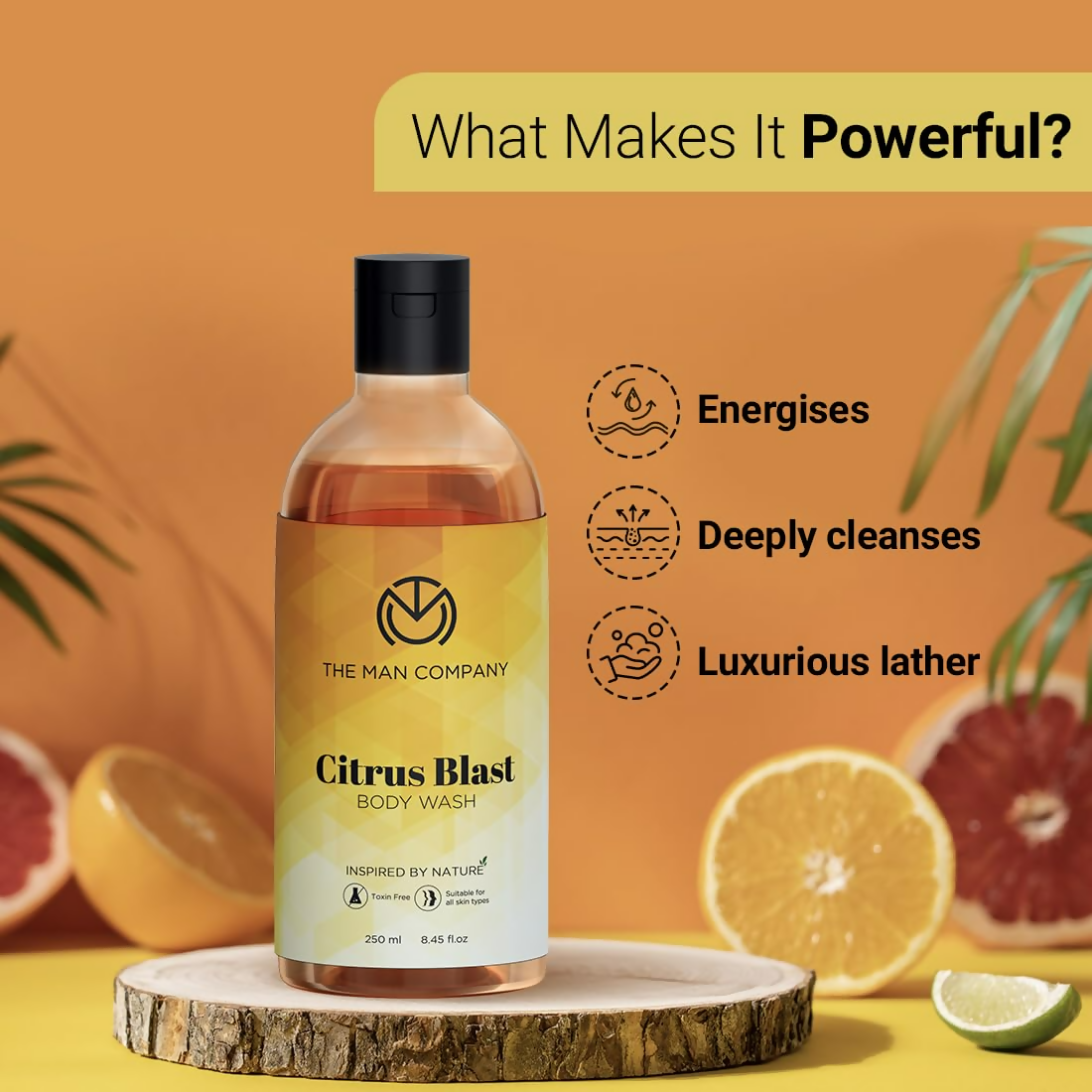 https://cdn.shopify.com/s/files/1/1857/6931/files/5jzyMWg5rM.png?v=1725620454