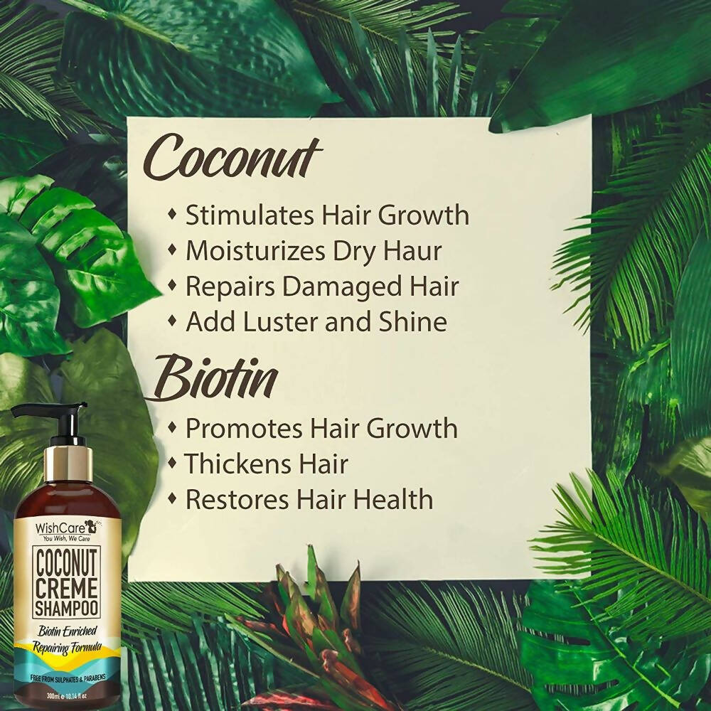 https://cdn.shopify.com/s/files/1/1857/6931/products/5mXBG0ne8O.jpg?v=1686295918