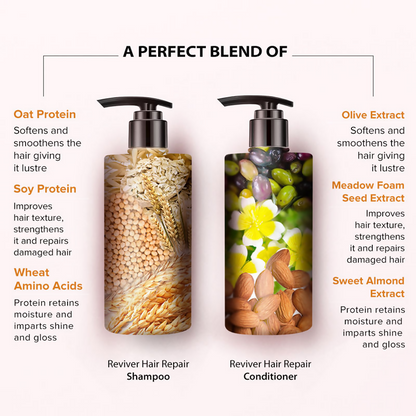 https://cdn.shopify.com/s/files/1/1857/6931/files/5nodEfeB0z.png?v=1725887099