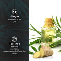 https://cdn.shopify.com/s/files/1/1857/6931/products/5pNzM4Hr11.jpg?v=1674892627