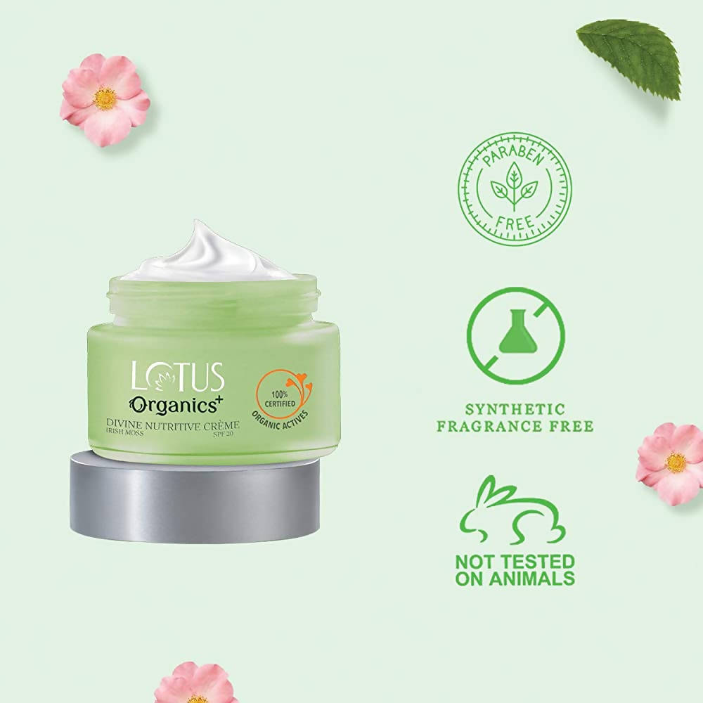 https://cdn.shopify.com/s/files/1/1857/6931/products/5qKHlapH3U.jpg?v=1648461124
