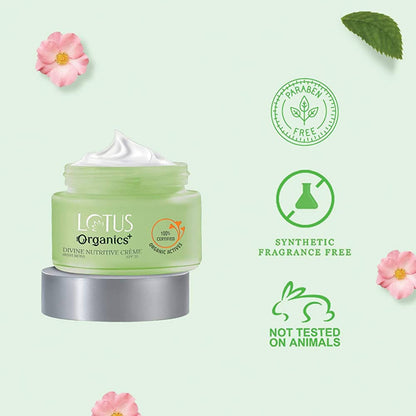 https://cdn.shopify.com/s/files/1/1857/6931/products/5qKHlapH3U.jpg?v=1648461124