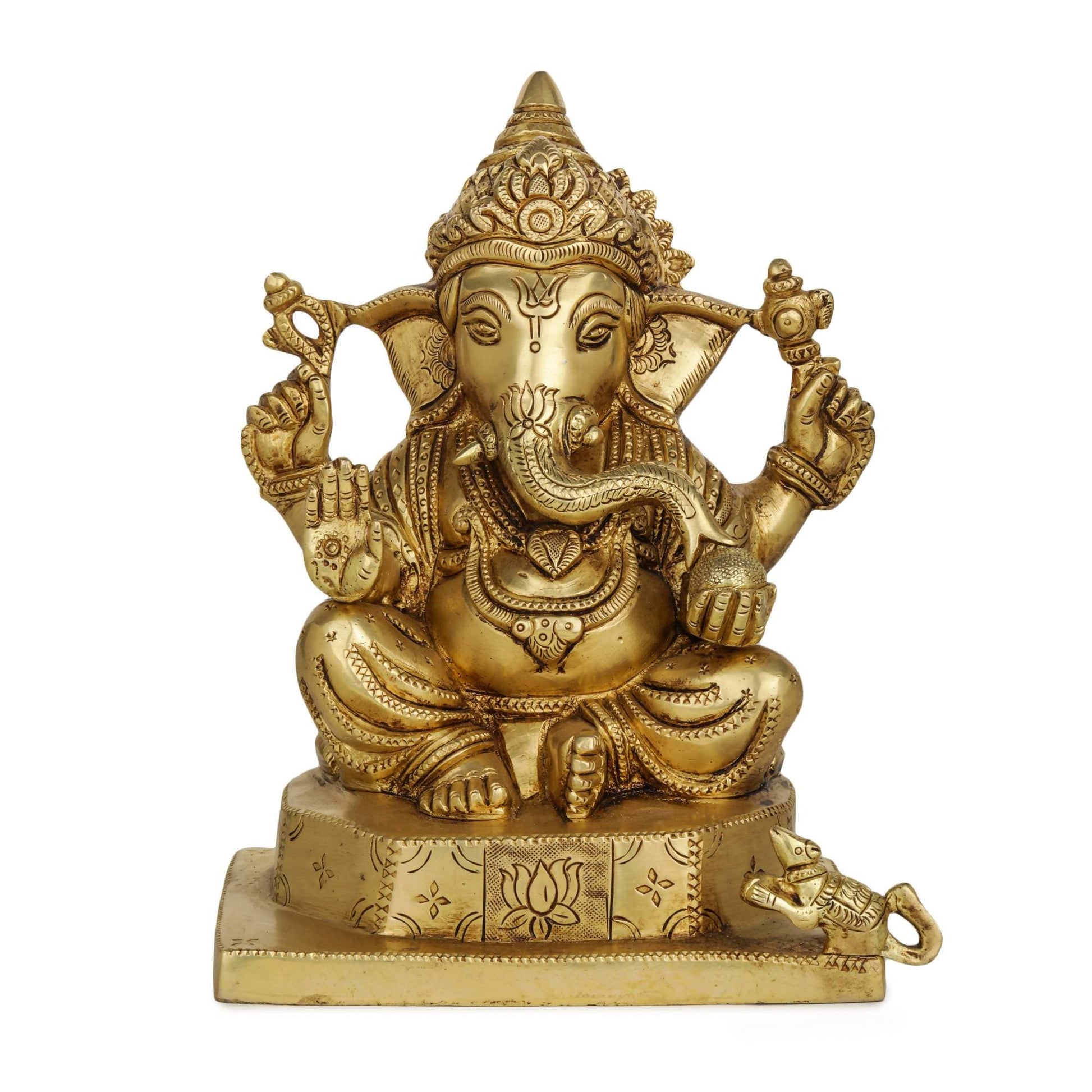 https://cdn.shopify.com/s/files/1/1857/6931/products/5vOosV231u.jpg?v=1762277961