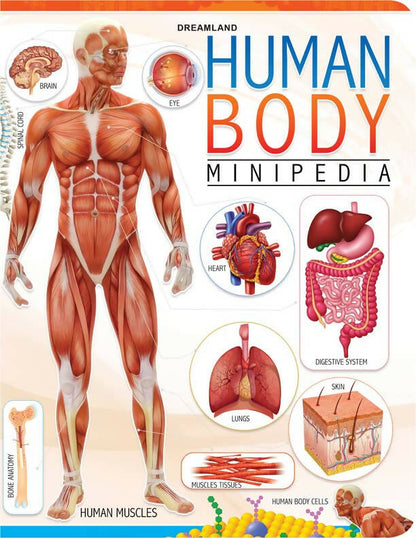 Image 1 of Dreamland Human Body Minipedia