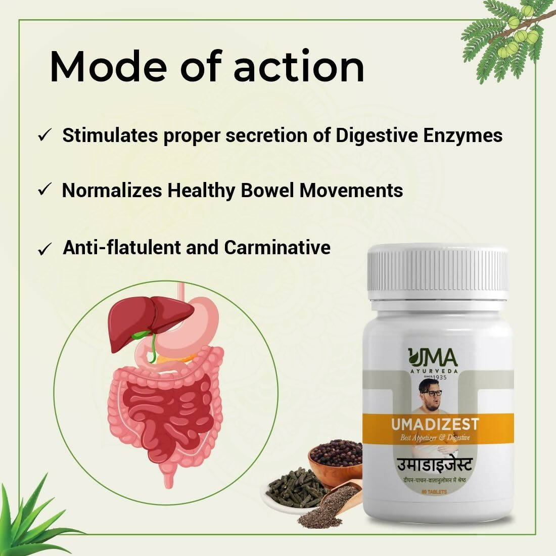 https://cdn.shopify.com/s/files/1/1857/6931/products/5vqe8lSEOP.jpg?v=1707825643