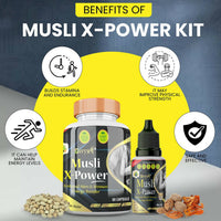 https://cdn.shopify.com/s/files/1/1857/6931/products/5xvVYh6Eu0.jpg?v=1687330816