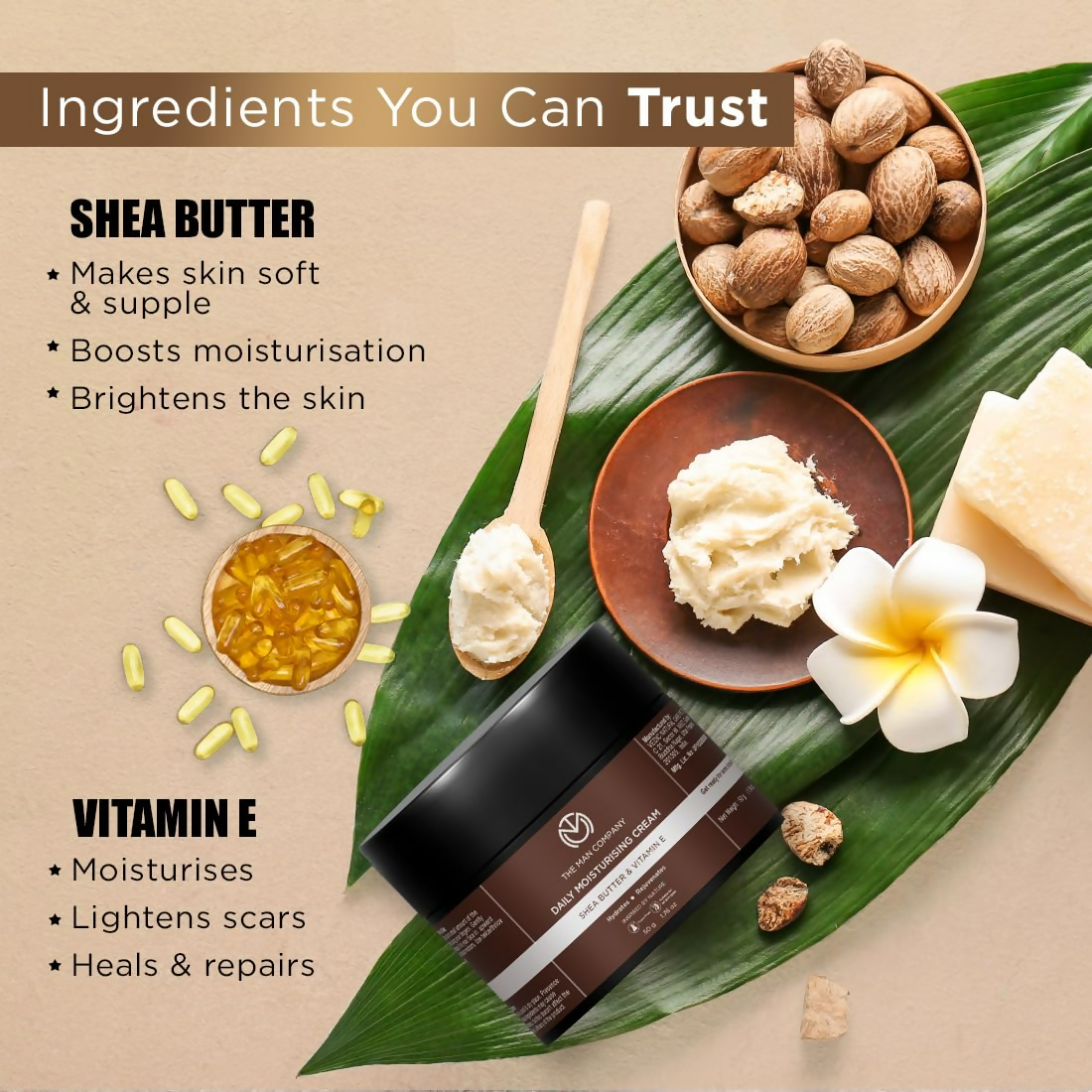 https://cdn.shopify.com/s/files/1/1857/6931/files/5yj3J9D9Db.png?v=1725544070