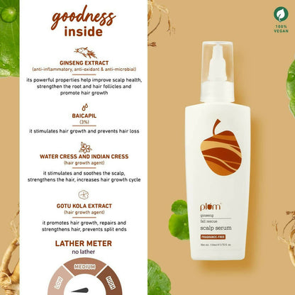 https://cdn.shopify.com/s/files/1/1857/6931/products/5yzntyjRUQ.jpg?v=1693378740