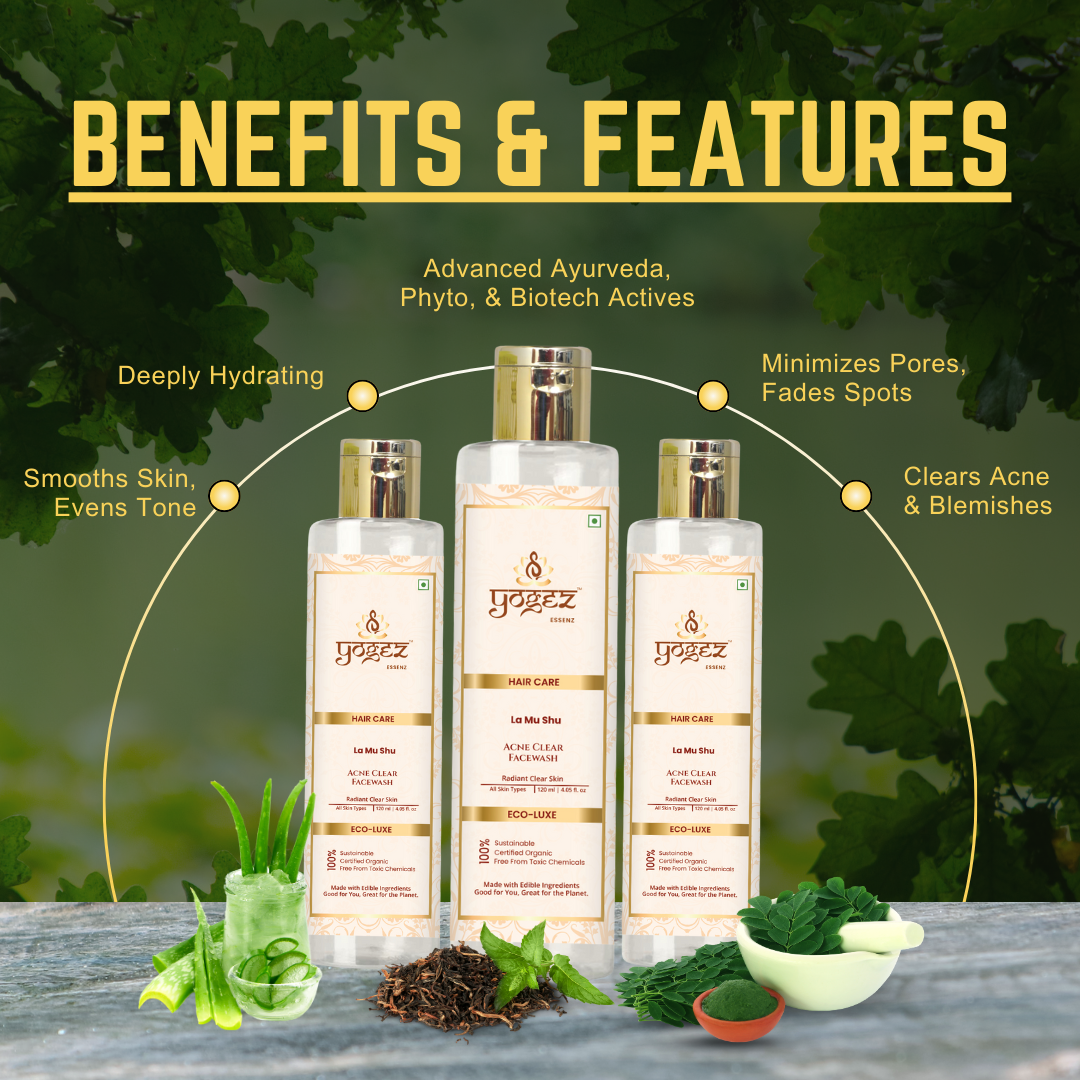 https://cdn.shopify.com/s/files/1/1857/6931/files/61.png?v=1745241741