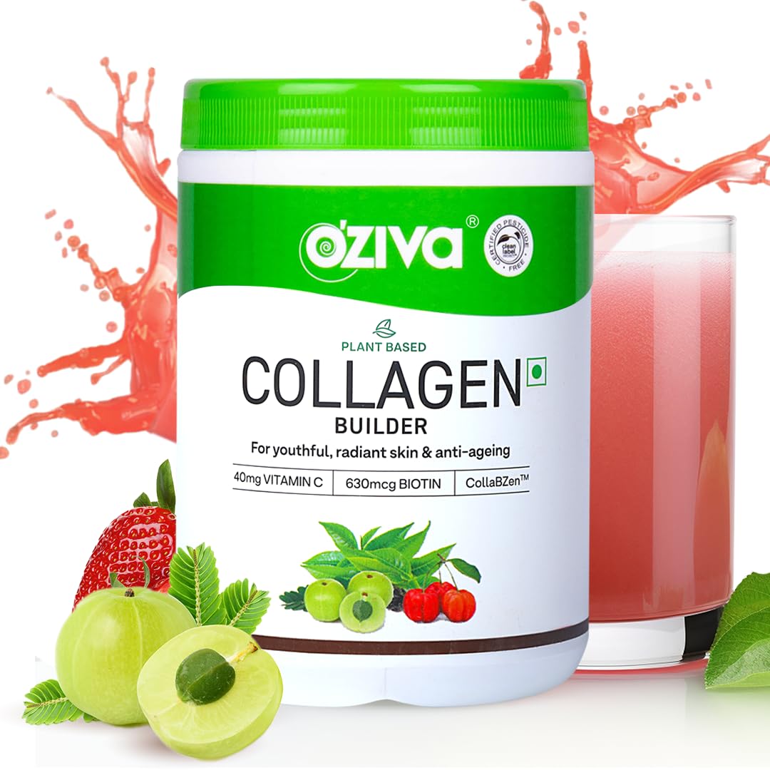 https://cdn.shopify.com/s/files/1/1857/6931/files/6136t-E8OiL._SL1080.jpg?v=1755083806