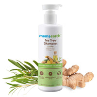 https://cdn.shopify.com/s/files/1/1857/6931/products/614IFBA1D4L._SL1200.jpg?v=1623422338