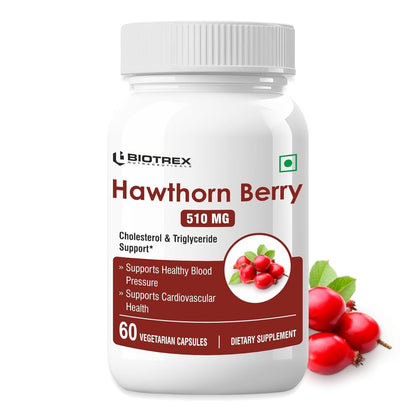 https://cdn.shopify.com/s/files/1/1857/6931/files/614eSEVIxKL._SL1500.jpg?v=1762431884