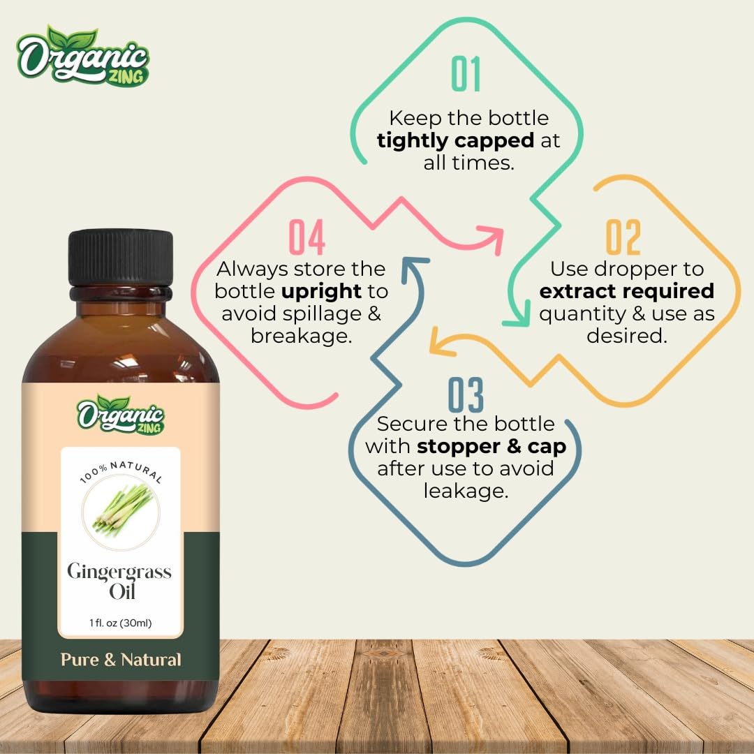 https://cdn.shopify.com/s/files/1/1857/6931/files/616QdGVGF8L.jpg?v=1761823894