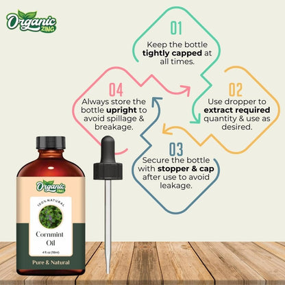 https://cdn.shopify.com/s/files/1/1857/6931/files/619phJGdgbL.jpg?v=1761823821