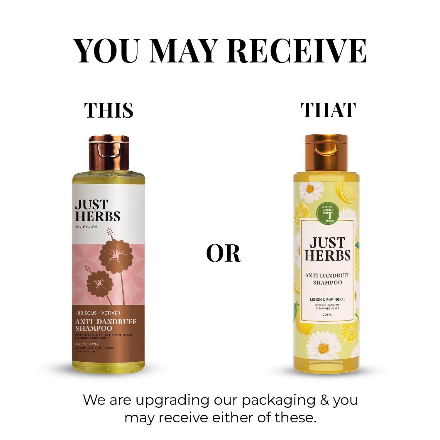 https://cdn.shopify.com/s/files/1/1857/6931/files/61BN8fmm6RL._SL1500.png?v=1770613466