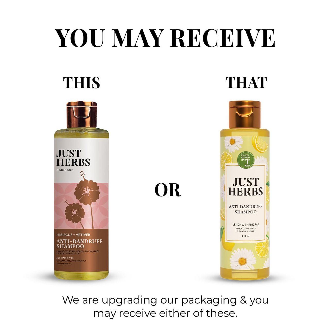 https://cdn.shopify.com/s/files/1/1857/6931/files/61BN8fmm6RL._SL1500.png?v=1770613466