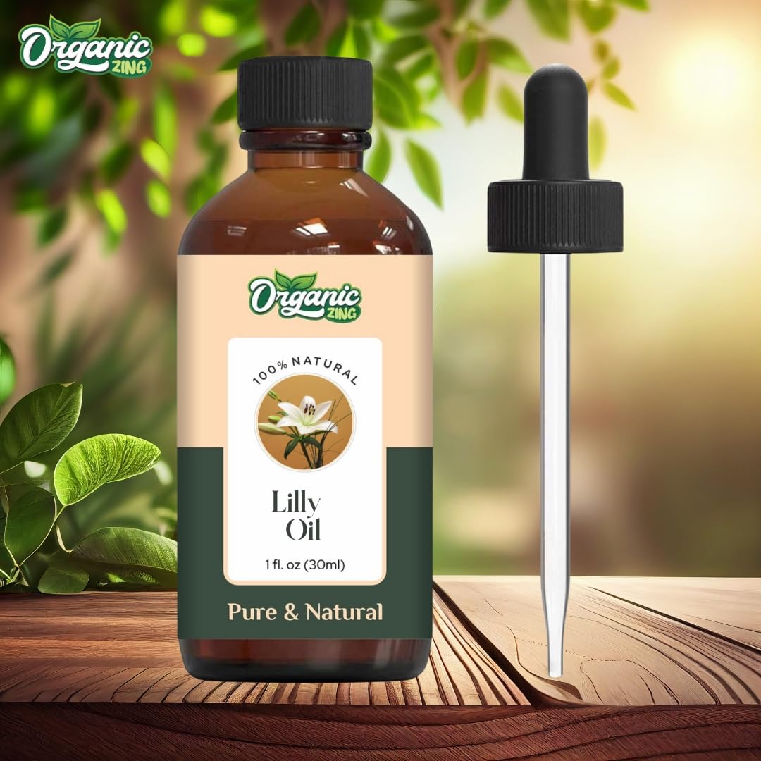 https://cdn.shopify.com/s/files/1/1857/6931/files/61FMzey3p8L.jpg?v=1761823857