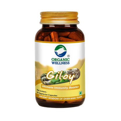 https://cdn.shopify.com/s/files/1/1857/6931/files/61HB4Q6KEiL._SL1500.jpg?v=1762276426