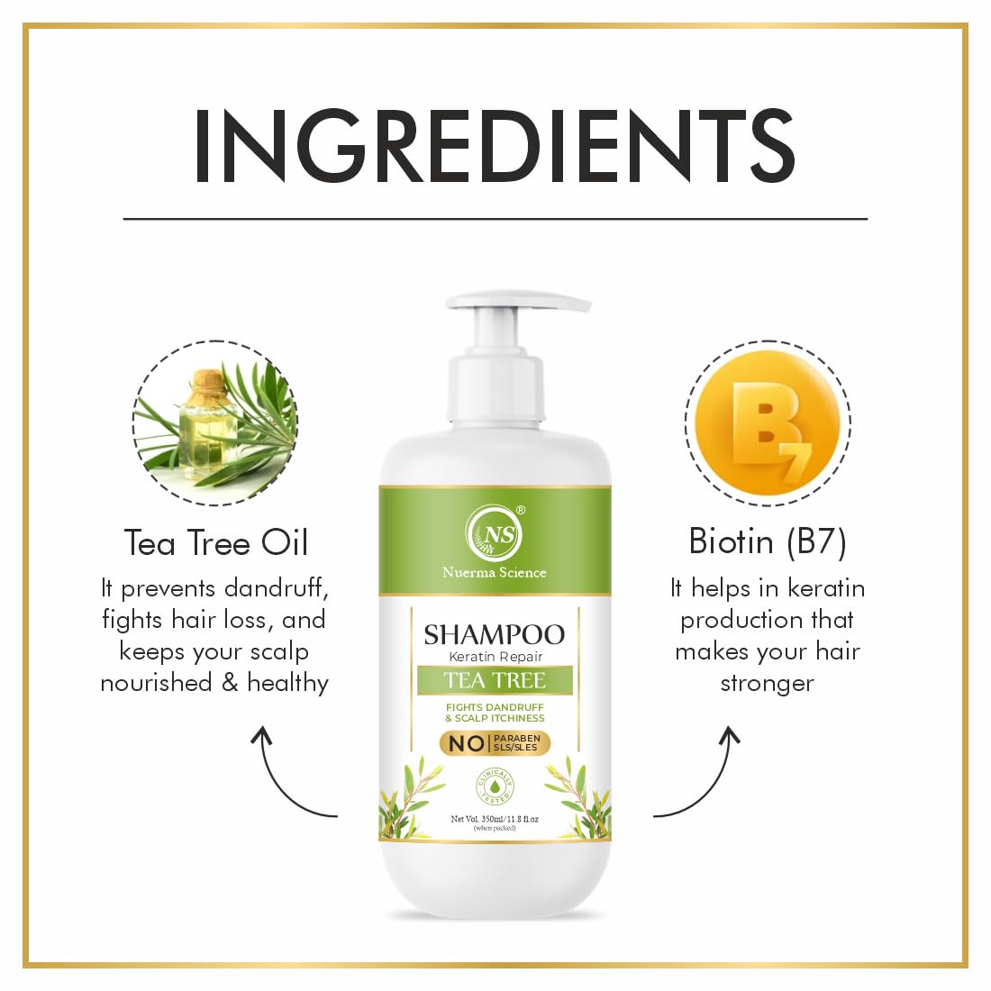 https://cdn.shopify.com/s/files/1/1857/6931/files/61HHnMPYWXL._SL1100.jpg?v=1765546216