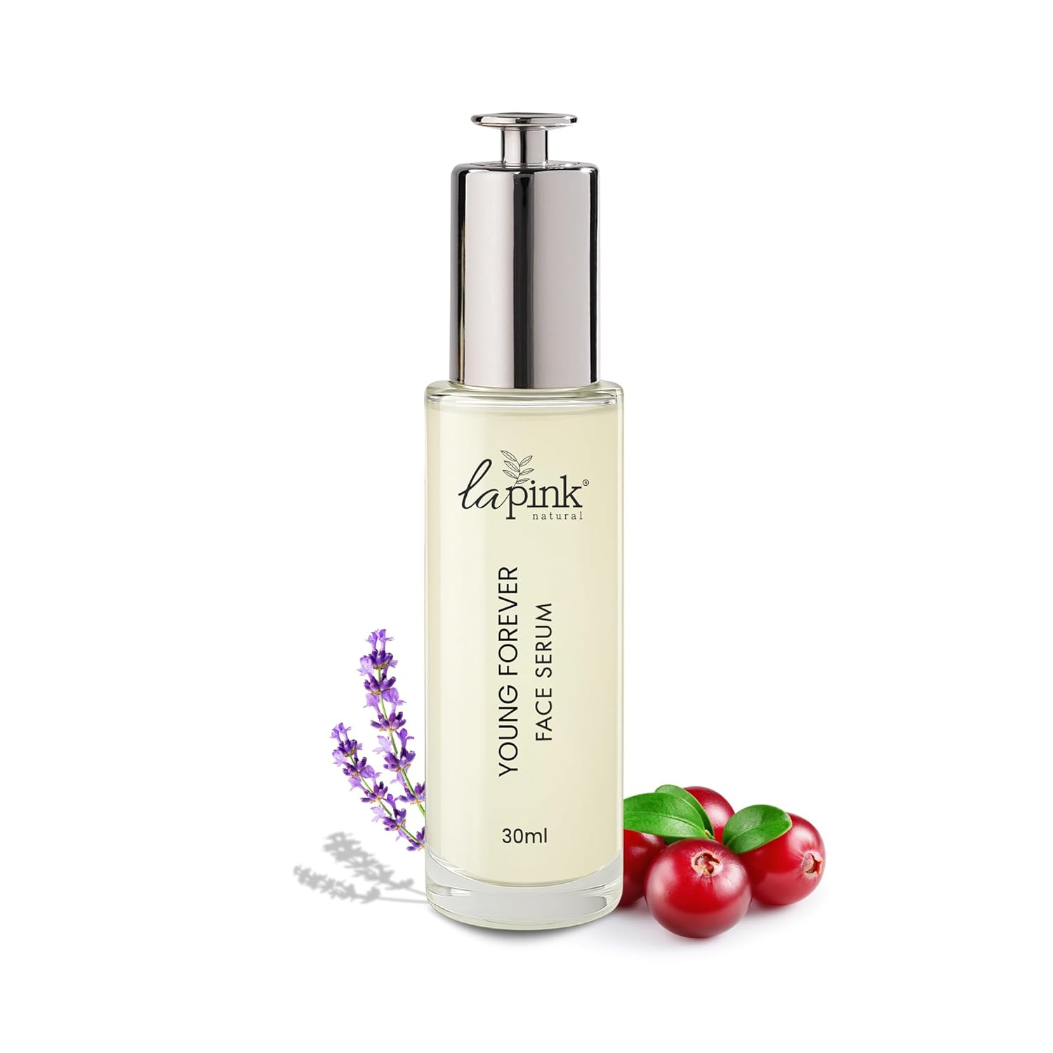 https://cdn.shopify.com/s/files/1/1857/6931/files/61Hs01DoYCL._SL1500.png?v=1768547265