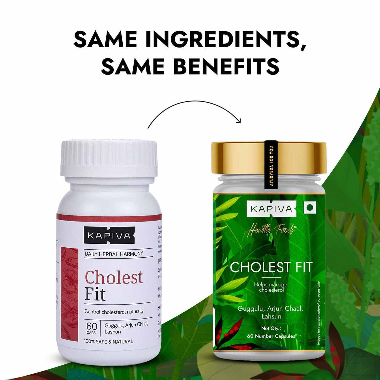 https://cdn.shopify.com/s/files/1/1857/6931/files/61HzOafpvUL._SL1500.jpg?v=1711774780