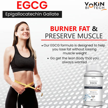 https://cdn.shopify.com/s/files/1/1857/6931/files/61IPYlb3Y0L.jpg?v=1770706424