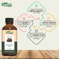 https://cdn.shopify.com/s/files/1/1857/6931/files/61IVVDHJqrL.jpg?v=1761823794