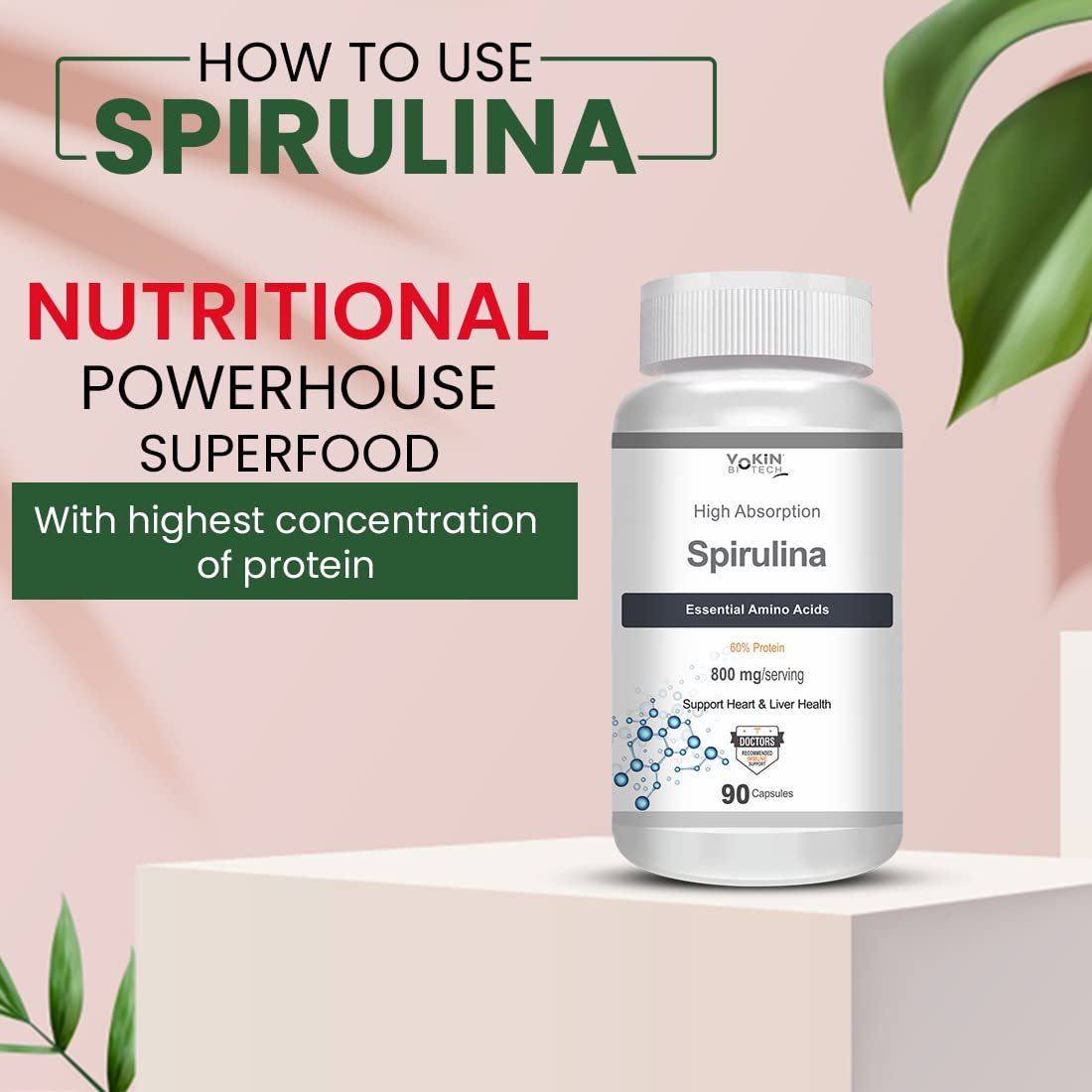 https://cdn.shopify.com/s/files/1/1857/6931/files/61IXRs2JymL.jpg?v=1770707011