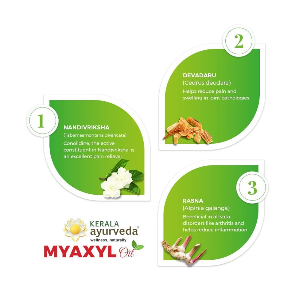 https://cdn.shopify.com/s/files/1/1857/6931/products/61InZb3yXEL._SL1080.jpg?v=1737560327